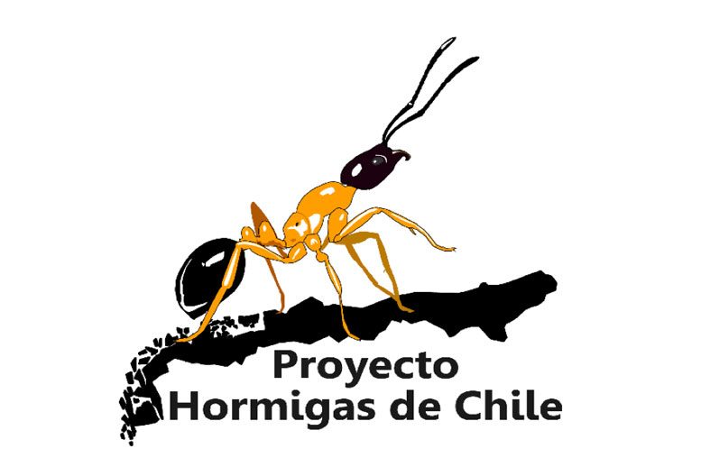 Hormigas de Chile